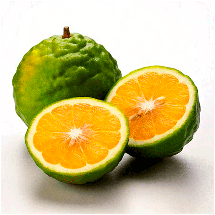 Combava Natural flavour